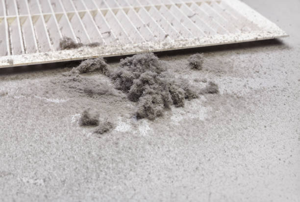 Best HVAC Air Duct Cleaning  in Cotter, AR