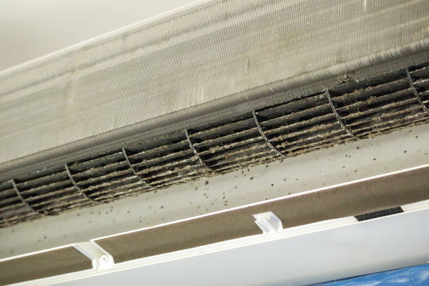 Best Best Air Duct Cleaning Near Me  in Cotter, AR