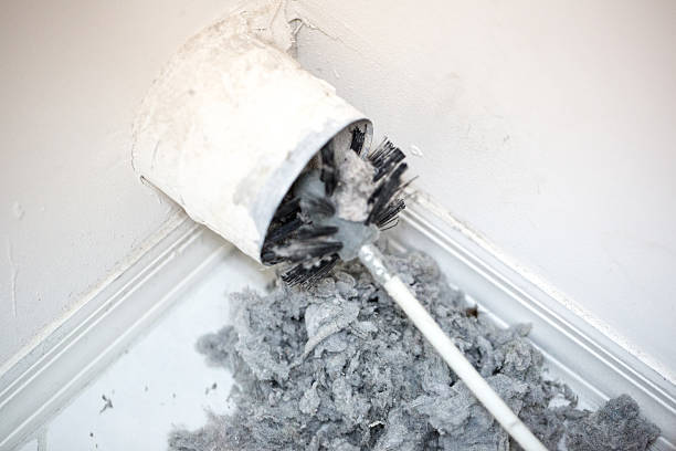 Best Dryer Vent Cleaning Services  in Cotter, AR